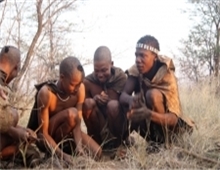 Bushmen 