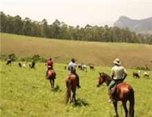 Chubeka Horse Trails