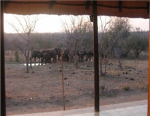Tremisana Game Lodge Safari