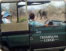 Safari in Kruger Park