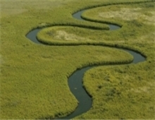 View of the Okavango Delta